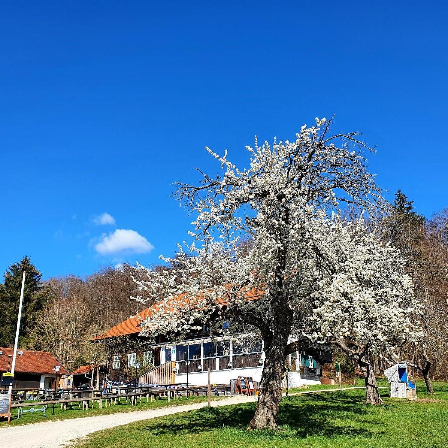 Schatzbergalm Pension Dießen am Ammersee 外观 照片